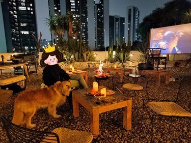 这辈子没有这么舒服过