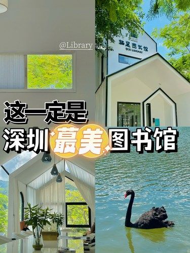 爆哭!!终于找到了全深圳蕞美的图书馆了