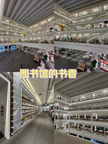 图书馆的书香