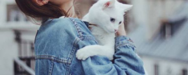 猫冬天在室外会冻死吗 冬季养猫的注意事项