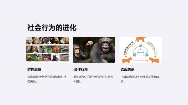 《动物行为学课件-从进化到发展》_第4页