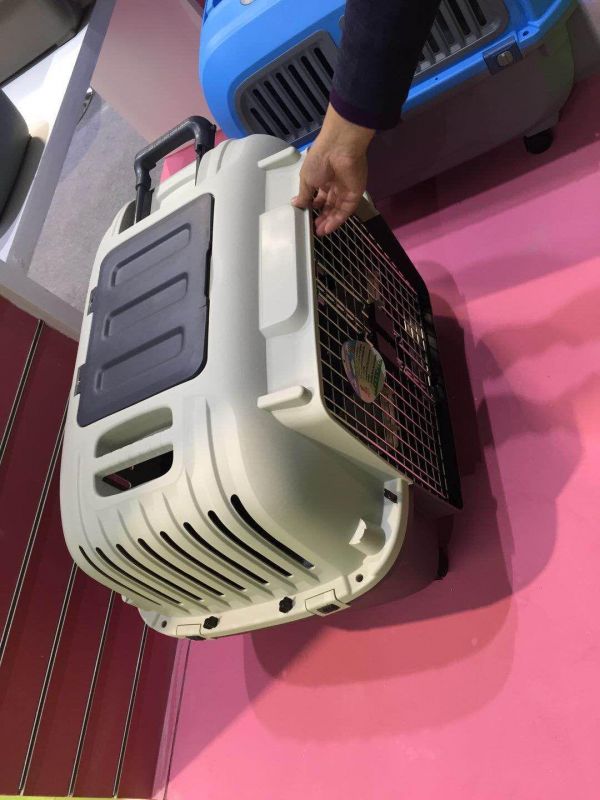 哈尔滨宠物用品模具开发