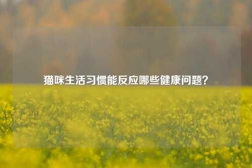 猫咪生活习惯能反应哪些健康问题？