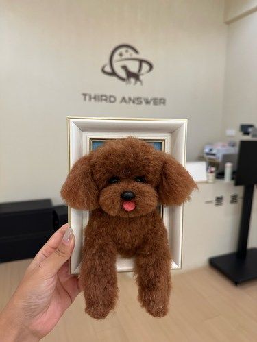 让毛孩子换一种方式继续陪伴你
