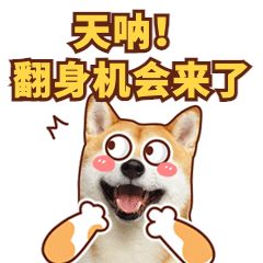 小狗期待可爱萌宠动态表情包图片