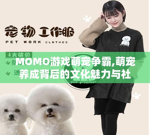 MOMO游戏萌宠争霸,萌宠养成背后的文化魅力与社会价值