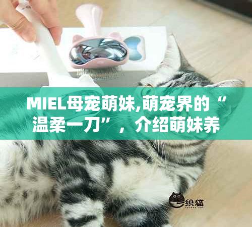 MIEL母宠萌妹,萌宠界的“温柔一刀”，介绍萌妹养成之路