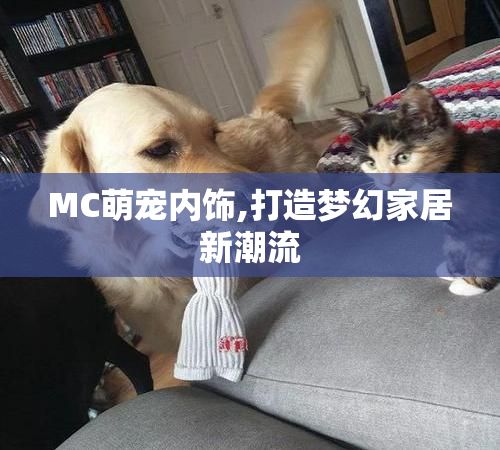 MC萌宠内饰,打造梦幻家居新潮流