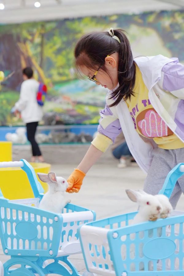 探索无限乐趣,下载萌宠乐园,开启全新宠物世界