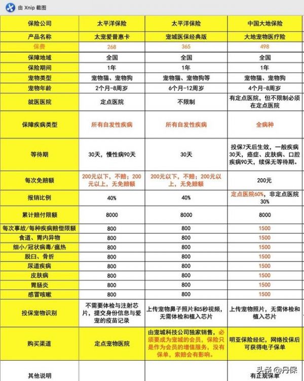 宠物保险有哪几种（宠物保险：10款宠物医疗险）