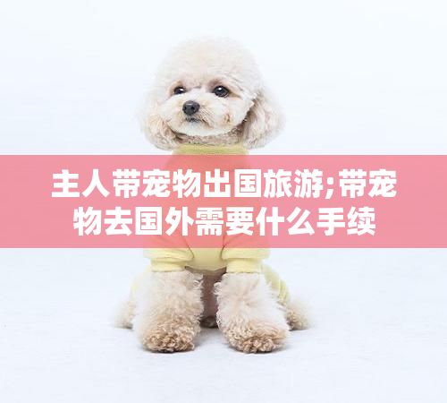 主人带宠物出国旅游;带宠物去国外需要什么手续
