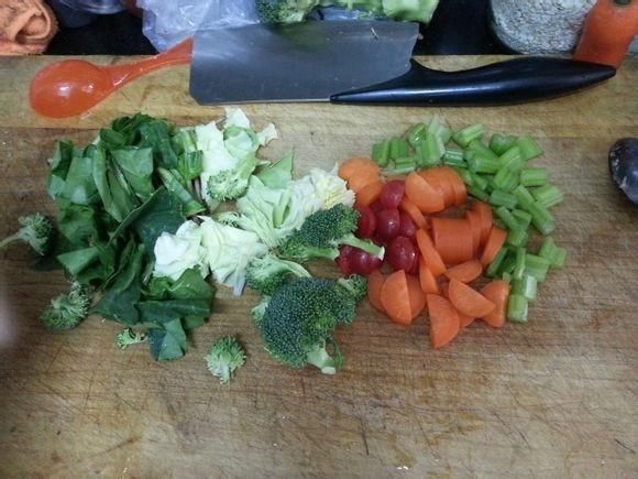 这样做的自制狗粮，让你的狗狗吃得停不下来