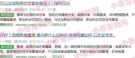 瘤尾守宫价格表2022