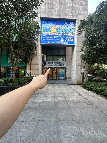 建议看到这种宠物医院请注意