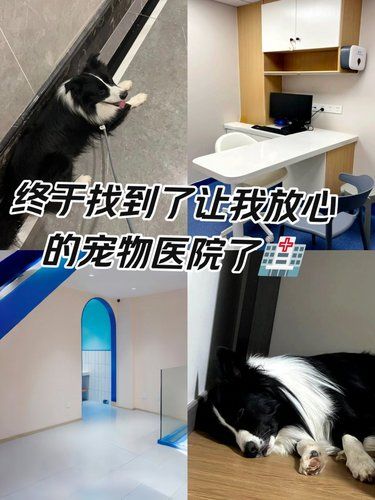 明天这里会有大事发生❗真的❗