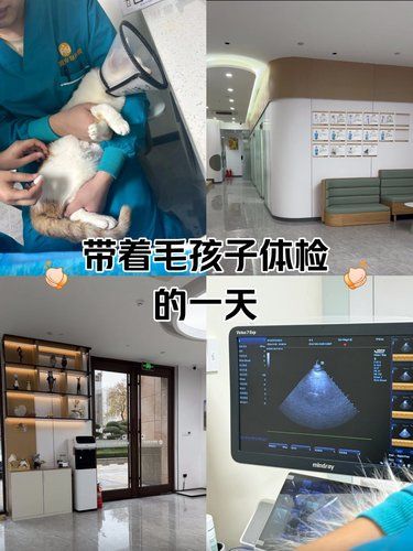 24小时宠物医院