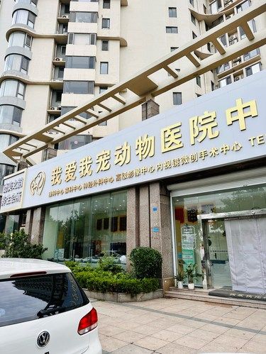 24小时营业，给毛孩子一个最可靠的保障~