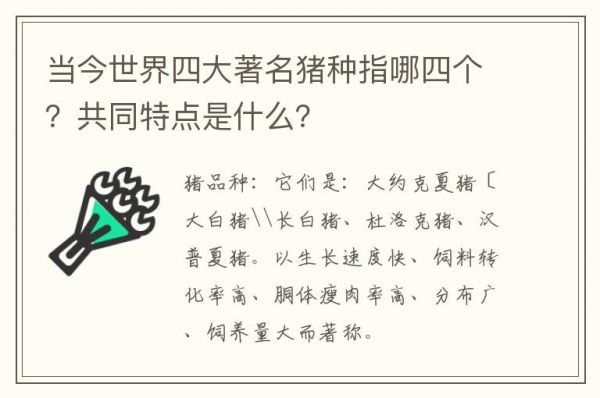 当今世界四大著名猪种指哪四个？共同特点是什么？