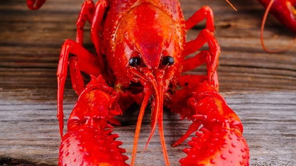 如何正确食用小龙虾