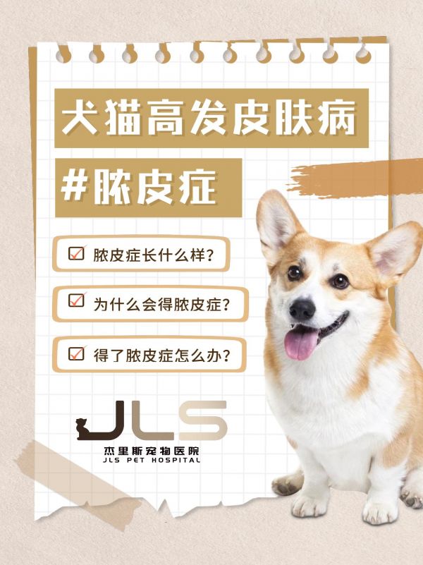 https://p0.meituan.net/imgupload/5fe08e56344e0b05f3cac5befbeb42871704363.png%40_100q%7Cwatermark%3D0%7Cformat%3Djpeg
