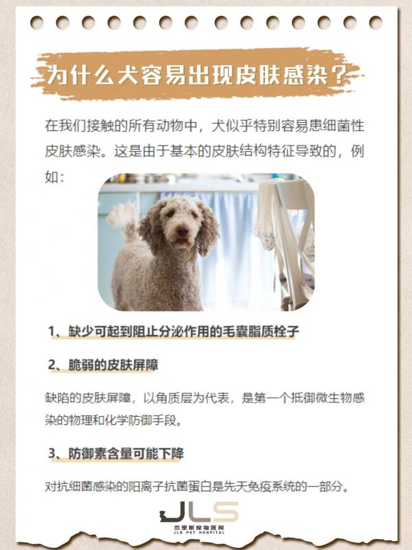 https://p0.meituan.net/imgupload/cc4473014f386cae97ee54c7410e94e41566397.png%40_100q%7Cwatermark%3D0%7Cformat%3Djpeg