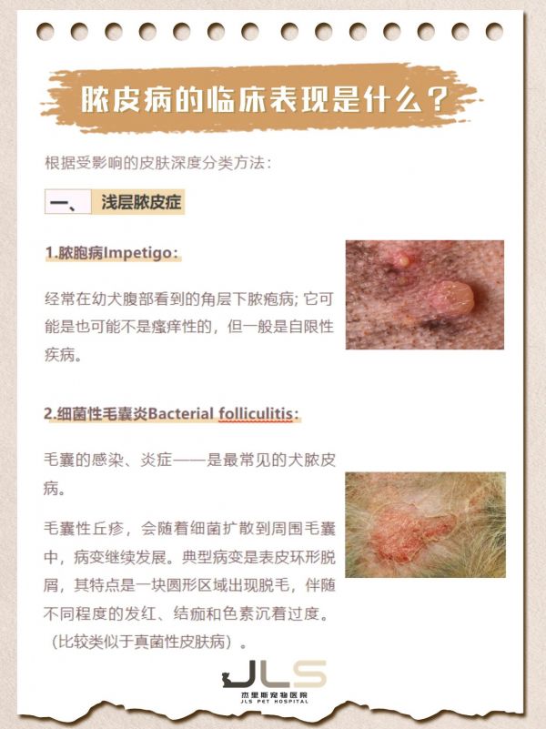 https://p0.meituan.net/imgupload/08e2407a93bd2c051be7308461883fff1522652.png%40_100q%7Cwatermark%3D0%7Cformat%3Djpeg