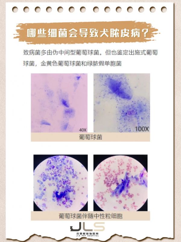 https://p0.meituan.net/imgupload/0576467cb4acc92629d88cbc751075941608118.png%40_100q%7Cwatermark%3D0%7Cformat%3Djpeg