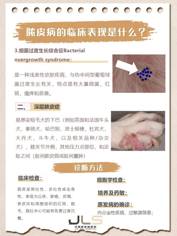 https://p0.meituan.net/imgupload/b408ec6affba59a266ce564ba68a03f01609434.png%40_100q%7Cwatermark%3D0%7Cformat%3Djpeg