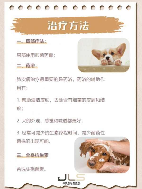 https://p1.meituan.net/imgupload/5864da914ec9cee695dd36354a1f93771411271.png%40_100q%7Cwatermark%3D0%7Cformat%3Djpeg