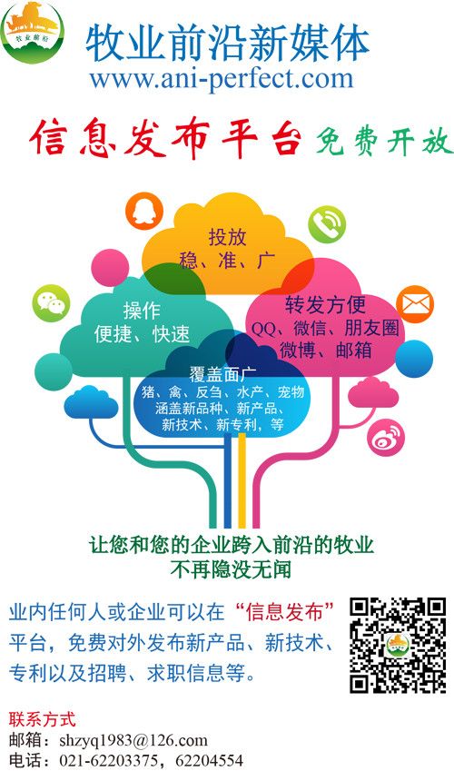 信息发布-500.png