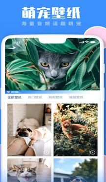 宠物翻译器截图