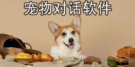 宠物对话软件哪个好用-便捷的宠物对话软件推荐