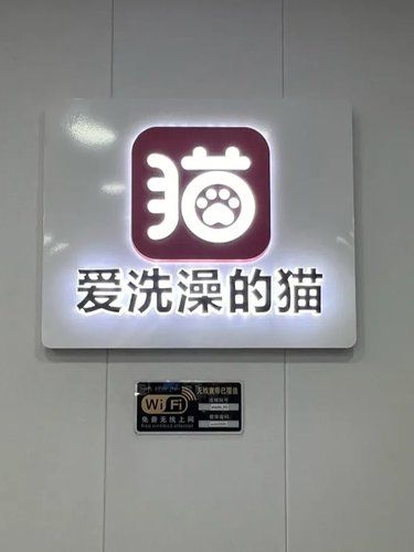 专门洗猫的店我可太喜欢了