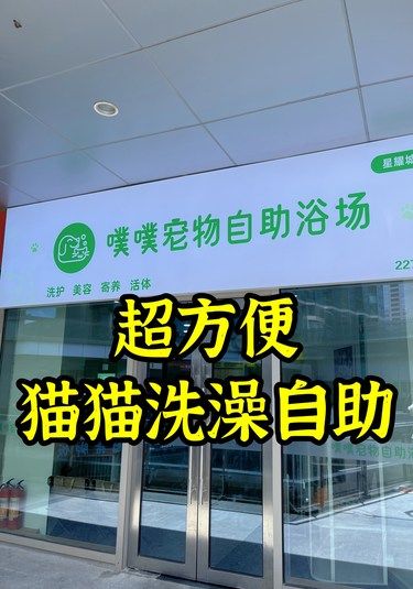 自助洗猫好方便！