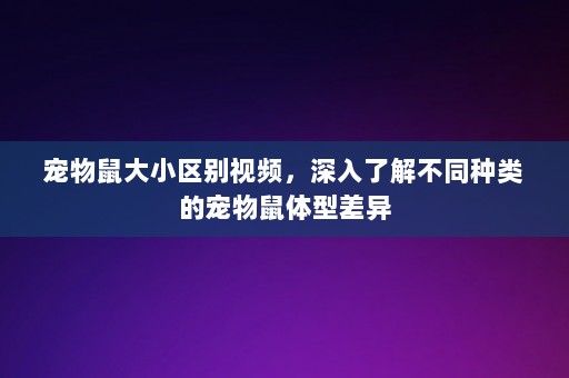 宠物鼠大小区别视频，深入了解不同种类的宠物鼠体型差异-第1张图片-一起学知识网