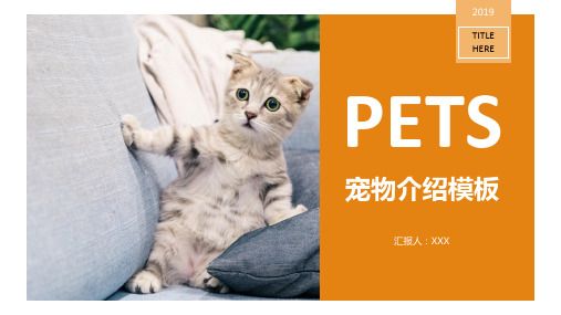宠物行业宣传介绍PPT模板