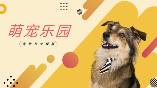 黄色宠物狗行业模板(共18张PPT)