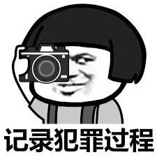豚鼠是实验动物的代名词，可惜你家那只不是
