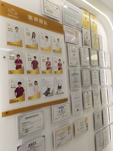 安心陪诊服务，我体验了