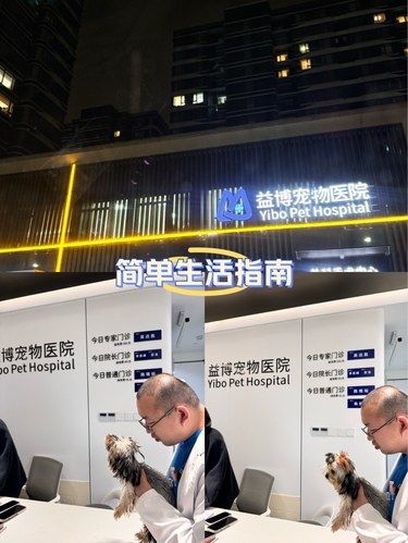 医疗环境超级给力