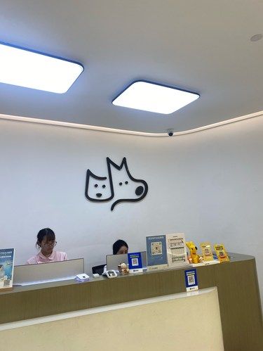 太好了！是猫猫健康大师！
