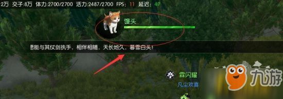 逆水寒宠物小猫怎么获得_宠物小猫获取攻略