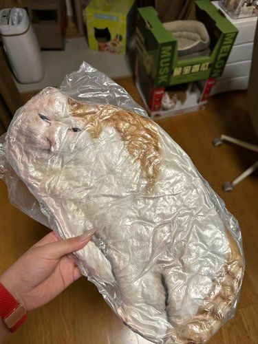 悬着的心终于是死了[流泪]
