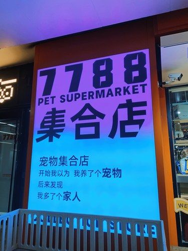 西高地李团团探店之太原最大的宠物店7788