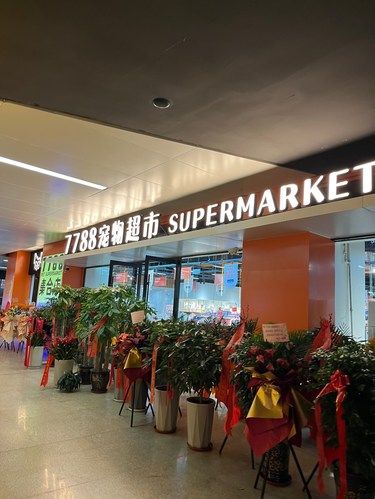 太原市新开的宠物超市，超好逛！