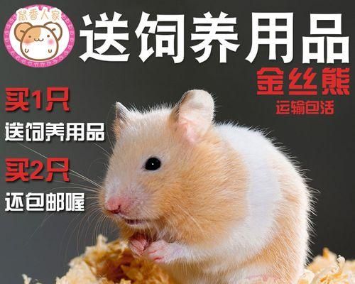如何科学饲养奶茶仓鼠？（从生活习性到饲养要点，全面解析奶茶仓鼠养殖）