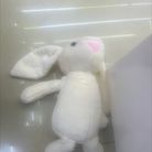 毛绒玩具小玩具