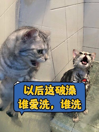 从此以后，你好，我也好，咱们各自安好！！！