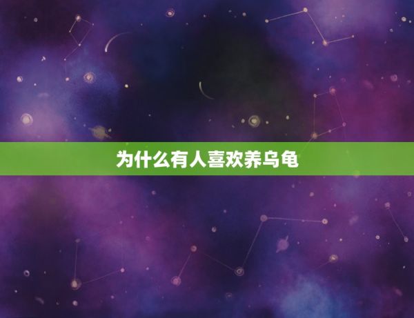 为什么有人喜欢养乌龟，为什么现在越来越多人开始喜欢养龟了呢？