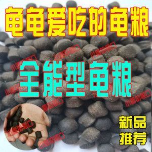 猪鼻龟批发：猪鼻龟的饲养技巧 龙鱼百科 第4张